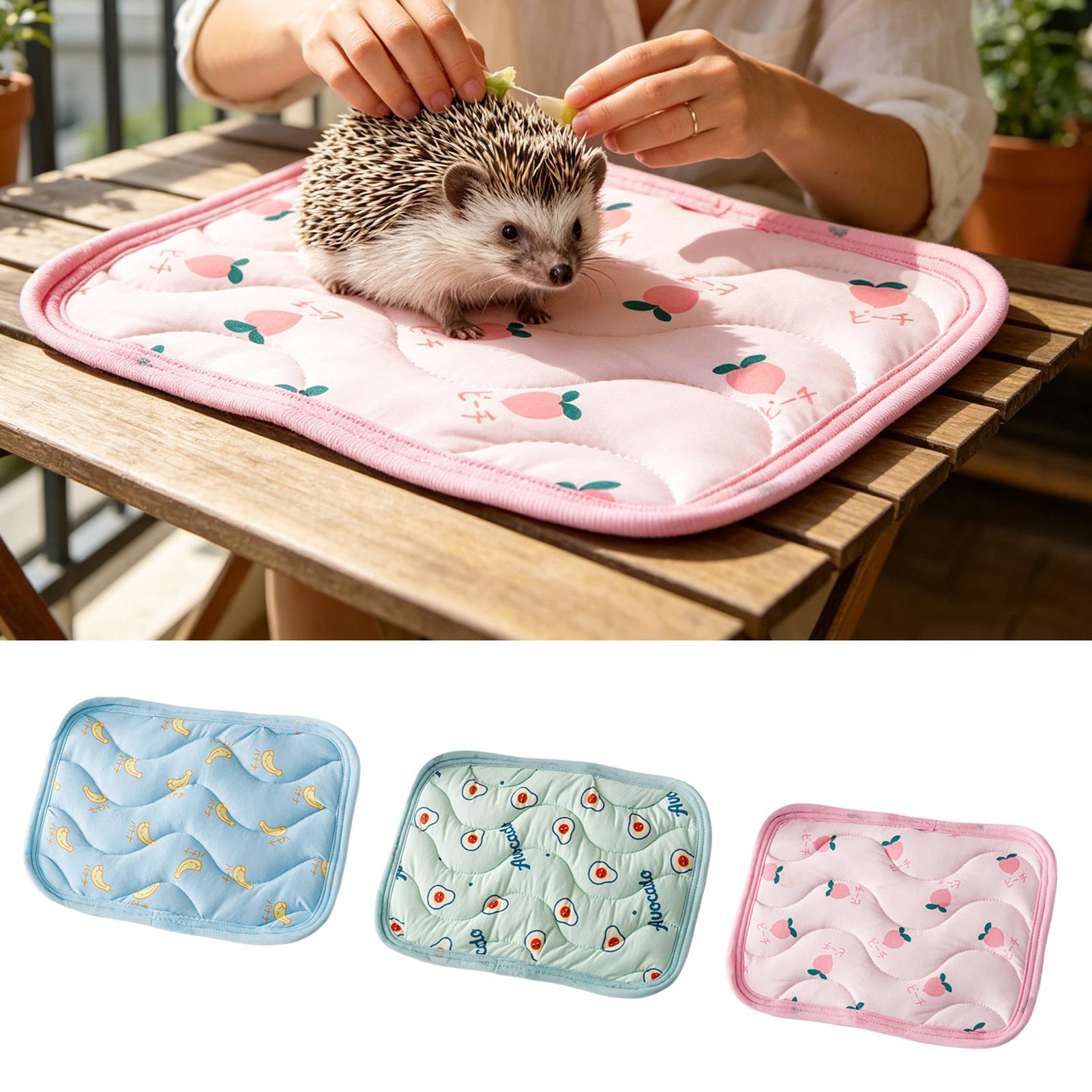 Outdoor Camping Dog Bed - Mata chłodząca dla zwierząt, nadająca się