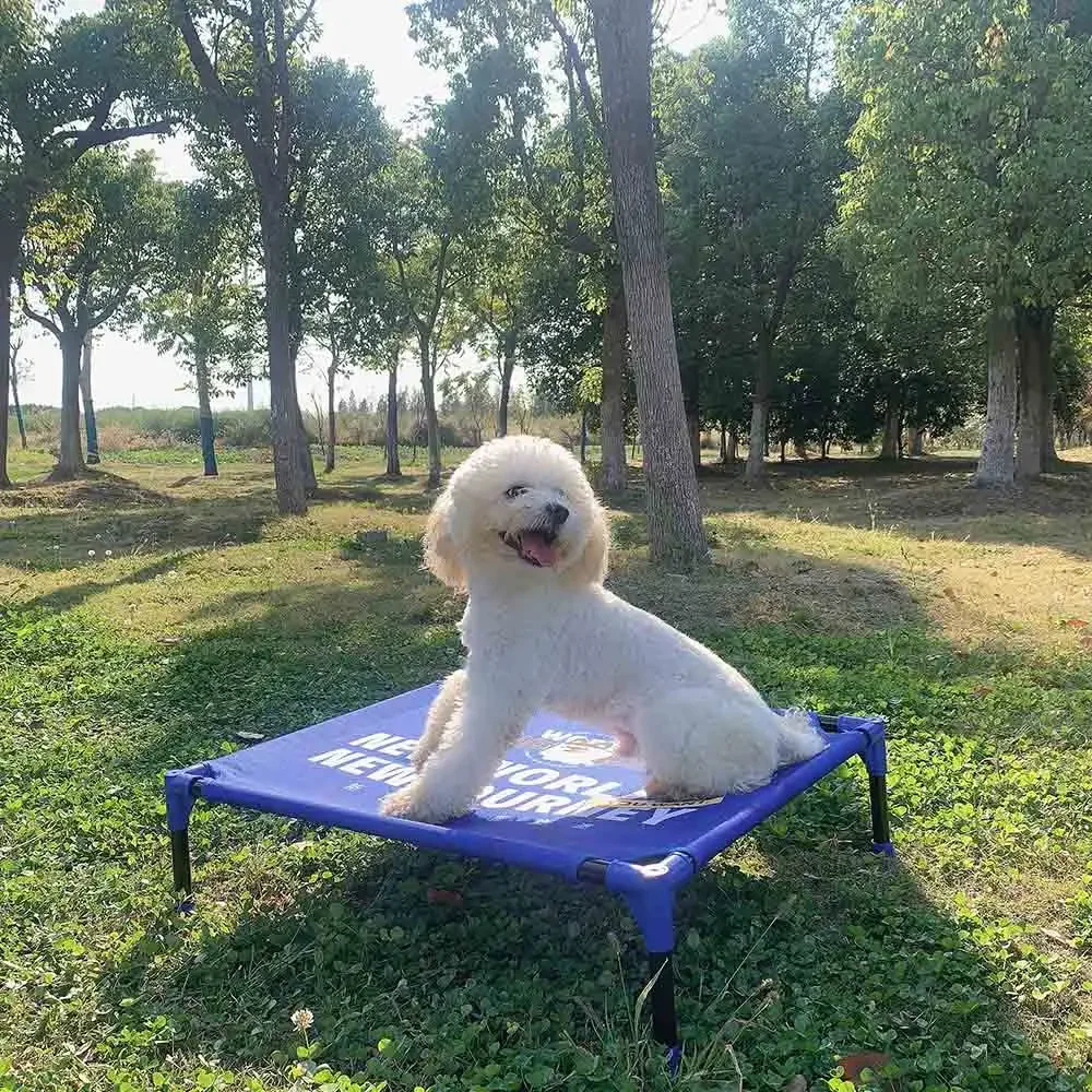 Przenośne podwyższone legowisk – Outdoor Camping Dog Bed recenzja i cena