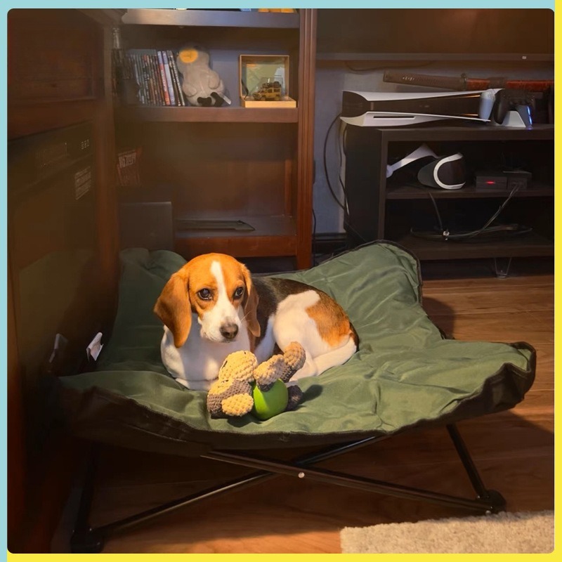 Przenośne składane legowisko d – Outdoor Camping Dog Bed recenzja i cena