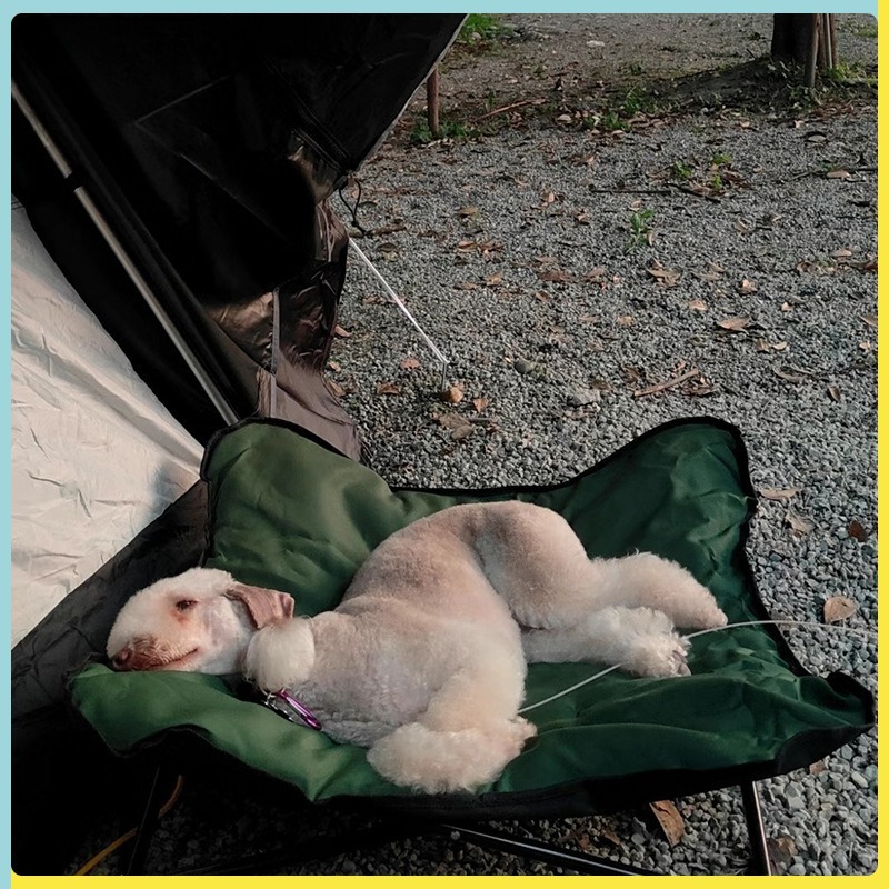 Przenośne składane legowisko d – Outdoor Camping Dog Bed recenzja i cena