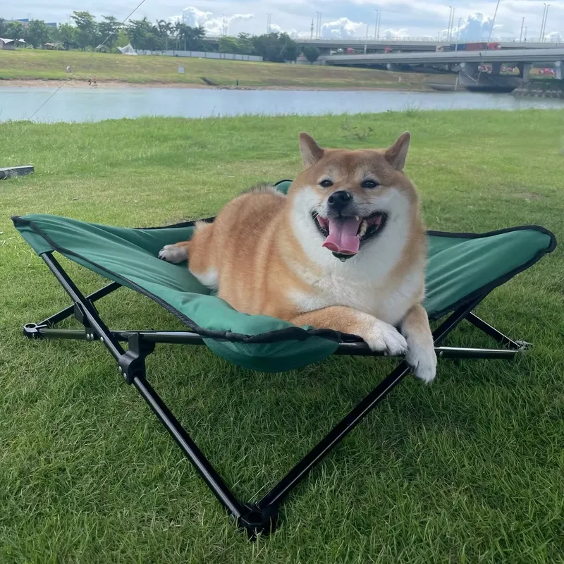 Luksusowe, nowoczesne, przenoś – Outdoor Camping Dog Bed recenzja i cena